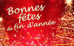 JOYEUSES FETES ! ! !