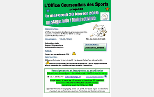 STAGE JUDO / MULTI ACTIVITES- Mercredi 20 février 2019