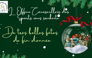 JOYEUSES FETES de fin d'année