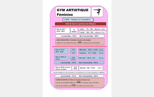 685e4d2268f4f_2526ActivitGymArtistiqueLoisir20252026m.jpeg