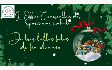 JOYEUSES FETES de fin d'année