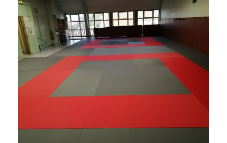 art du 05 janvier 2021 - REPRISE des Activités OCS - janvier 2021